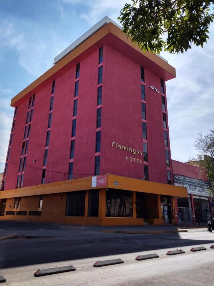 غوادالاجارا Hotel Flamingos المظهر الخارجي الصورة