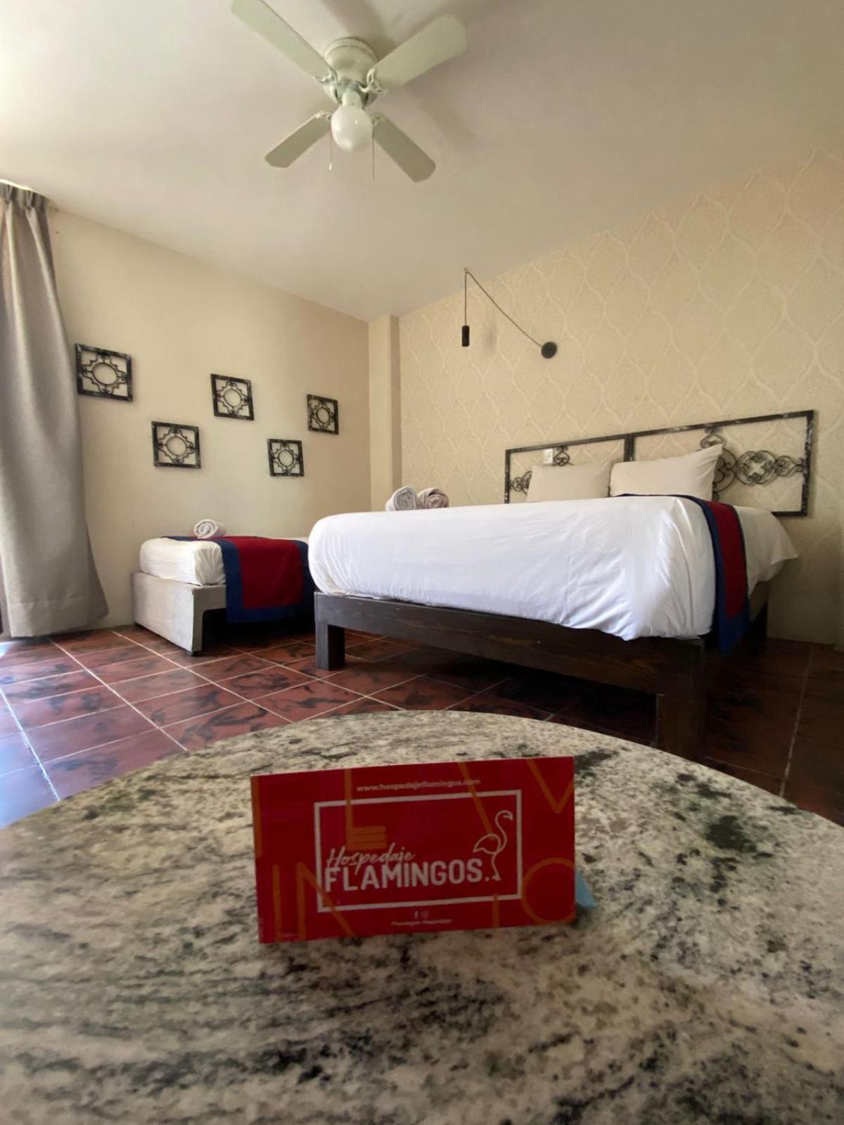 Hotel Flamingos غوادالاجارا المظهر الخارجي الصورة