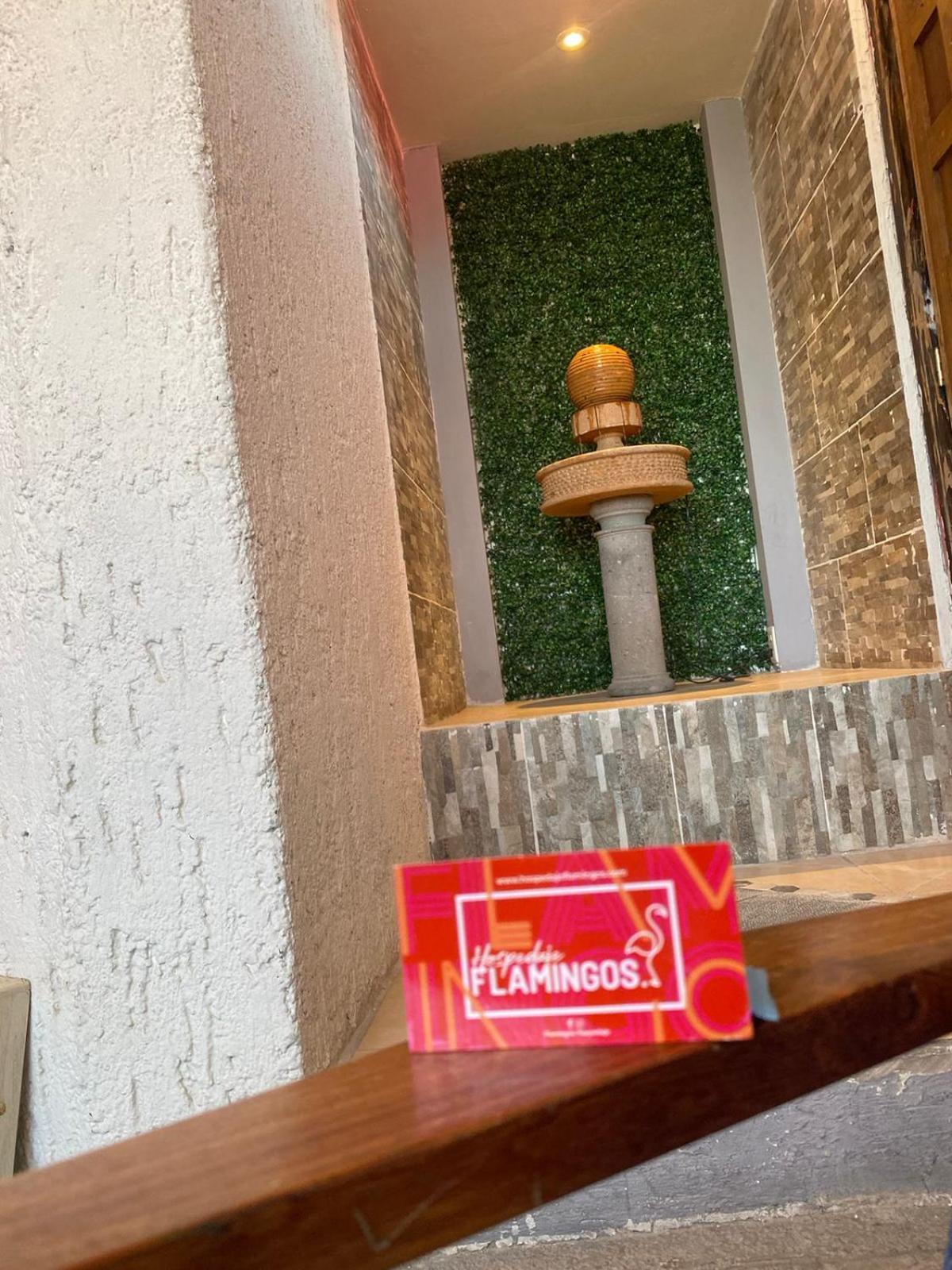 Hotel Flamingos غوادالاجارا المظهر الخارجي الصورة