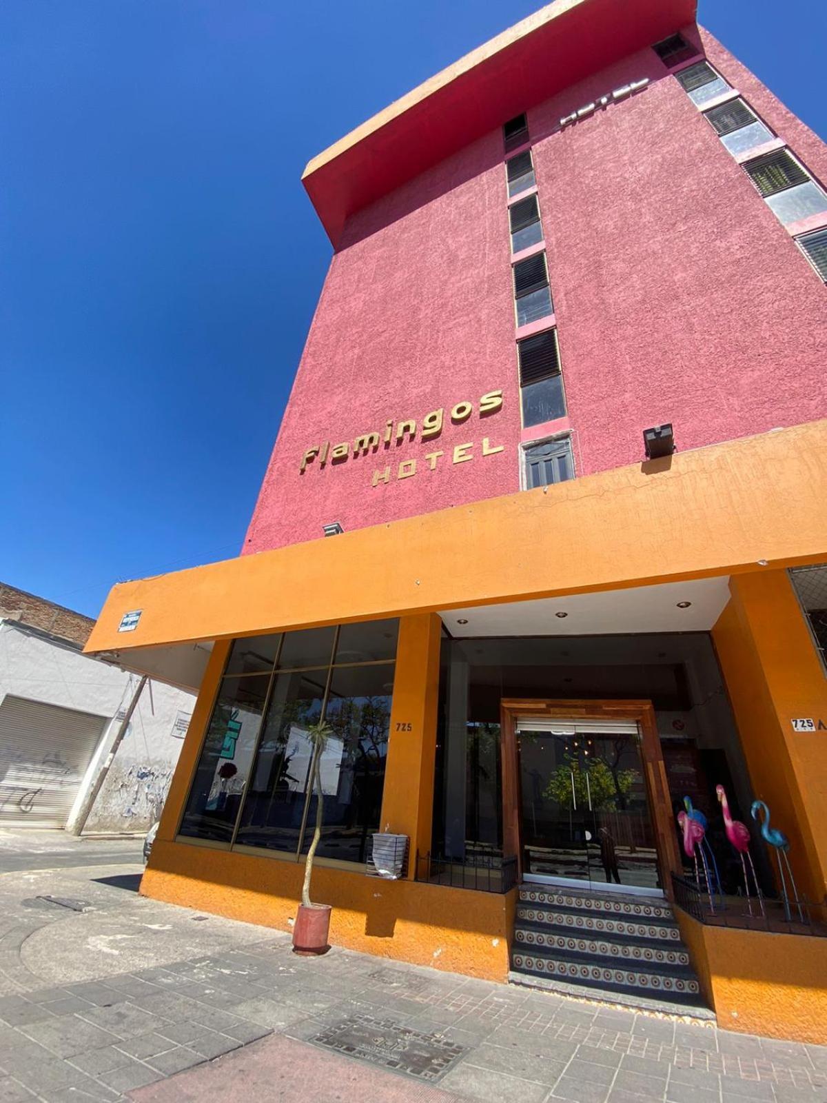 Hotel Flamingos غوادالاجارا المظهر الخارجي الصورة